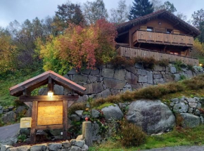 Chalet Typique Vosgien 